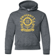 Sweatshirts Dark Heather / YS University of Wasteland Youth Hoodie