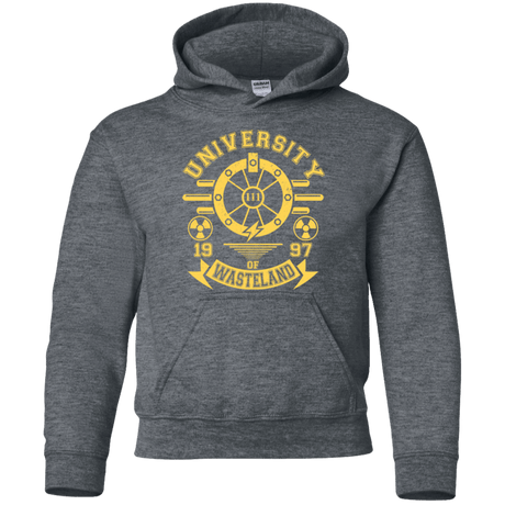 Sweatshirts Dark Heather / YS University of Wasteland Youth Hoodie