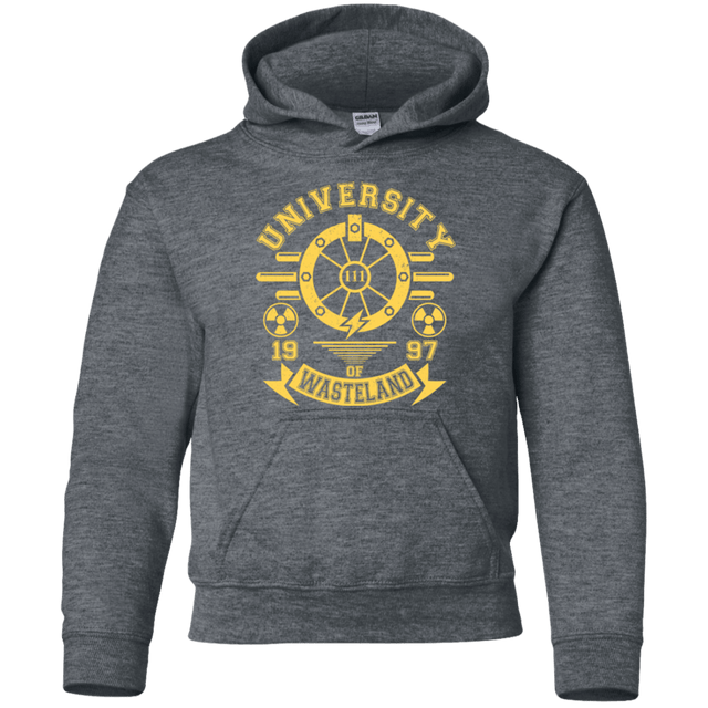 Sweatshirts Dark Heather / YS University of Wasteland Youth Hoodie