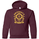 Sweatshirts Maroon / YS University of Wasteland Youth Hoodie