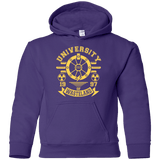 Sweatshirts Purple / YS University of Wasteland Youth Hoodie