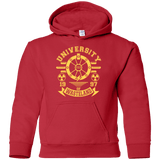 Sweatshirts Red / YS University of Wasteland Youth Hoodie