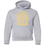 Sweatshirts Sport Grey / YS University of Wasteland Youth Hoodie