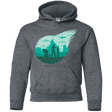Sweatshirts Dark Heather / YS Valley of the fallen stars Youth Hoodie