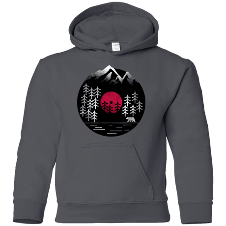 Sweatshirts Charcoal / YS Vinyl Nature Youth Hoodie