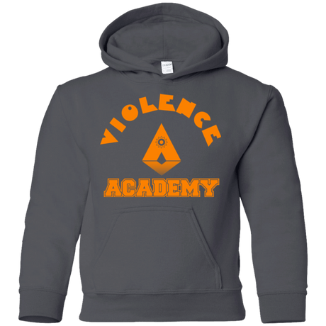 Sweatshirts Charcoal / YS Violence Academy Youth Hoodie