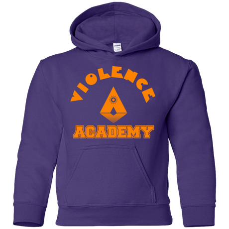 Sweatshirts Purple / YS Violence Academy Youth Hoodie