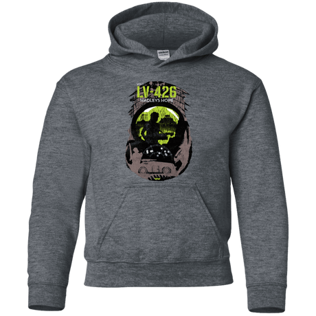 Sweatshirts Dark Heather / YS Visit LV-426 Youth Hoodie