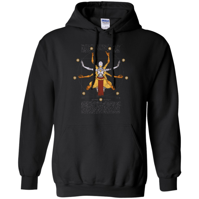 Sweatshirts Black / Small Vitruvian Omnic Pullover Hoodie