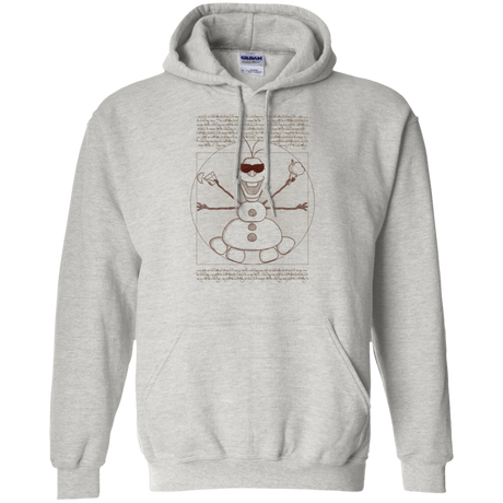 Sweatshirts Ash / Small Vitruvian Summer Pullover Hoodie