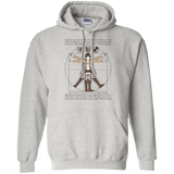 Sweatshirts Ash / Small VITRUVIAN TRAINEE Pullover Hoodie