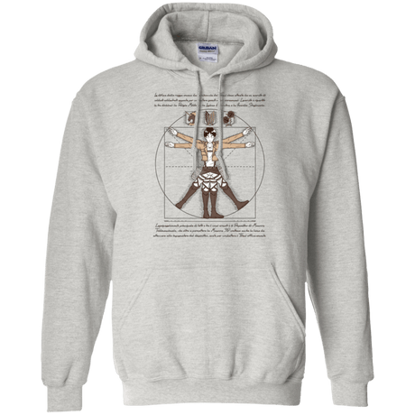 Sweatshirts Ash / Small VITRUVIAN TRAINEE Pullover Hoodie