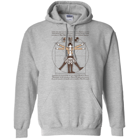 Sweatshirts Sport Grey / Small VITRUVIAN TRAINEE Pullover Hoodie