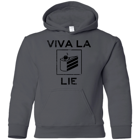 Sweatshirts Charcoal / YS Viva La Lie Youth Hoodie