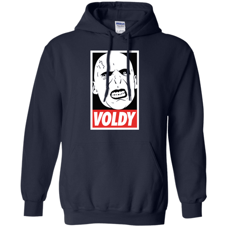 Sweatshirts Navy / Small Voldy Pullover Hoodie