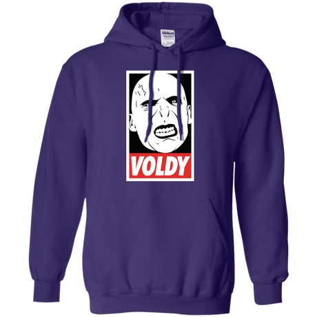 Sweatshirts Purple / Small Voldy Pullover Hoodie