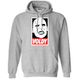 Sweatshirts Sport Grey / Small Voldy Pullover Hoodie