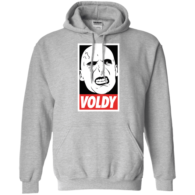 Sweatshirts Sport Grey / Small Voldy Pullover Hoodie