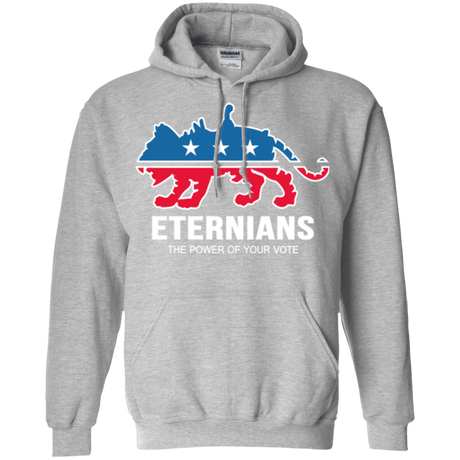 Sweatshirts Sport Grey / Small Vote Eternians Pullover Hoodie