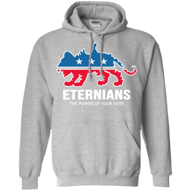 Sweatshirts Sport Grey / Small Vote Eternians Pullover Hoodie