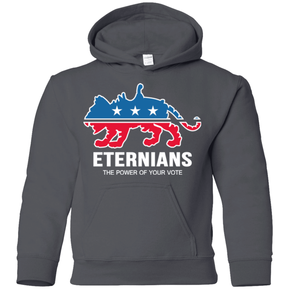 Sweatshirts Charcoal / YS Vote Eternians Youth Hoodie