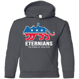 Sweatshirts Charcoal / YS Vote Eternians Youth Hoodie