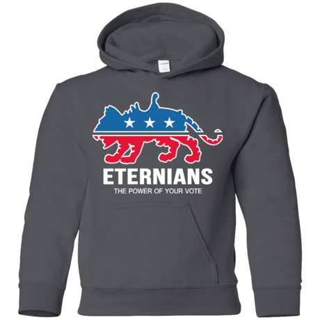 Sweatshirts Charcoal / YS Vote Eternians Youth Hoodie
