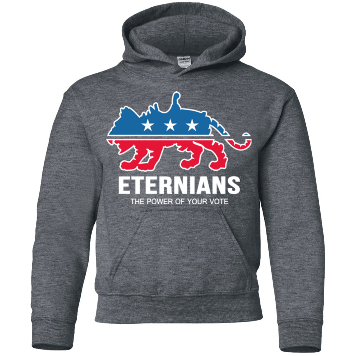 Sweatshirts Dark Heather / YS Vote Eternians Youth Hoodie