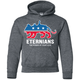 Sweatshirts Dark Heather / YS Vote Eternians Youth Hoodie