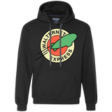 Sweatshirts Black / Small Walternet Express Premium Fleece Hoodie