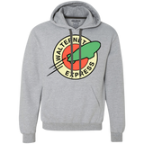 Sweatshirts Sport Grey / Small Walternet Express Premium Fleece Hoodie