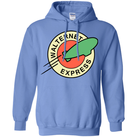 Sweatshirts Carolina Blue / Small Walternet Express Pullover Hoodie