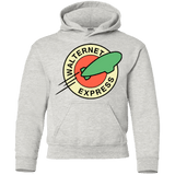 Sweatshirts Ash / YS Walternet Express Youth Hoodie