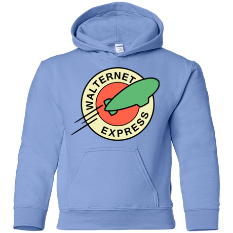 Sweatshirts Carolina Blue / YS Walternet Express Youth Hoodie