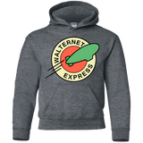 Sweatshirts Dark Heather / YS Walternet Express Youth Hoodie