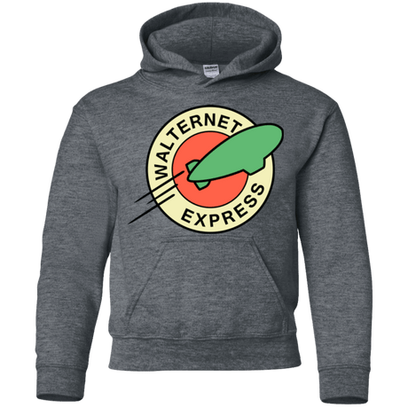 Sweatshirts Dark Heather / YS Walternet Express Youth Hoodie