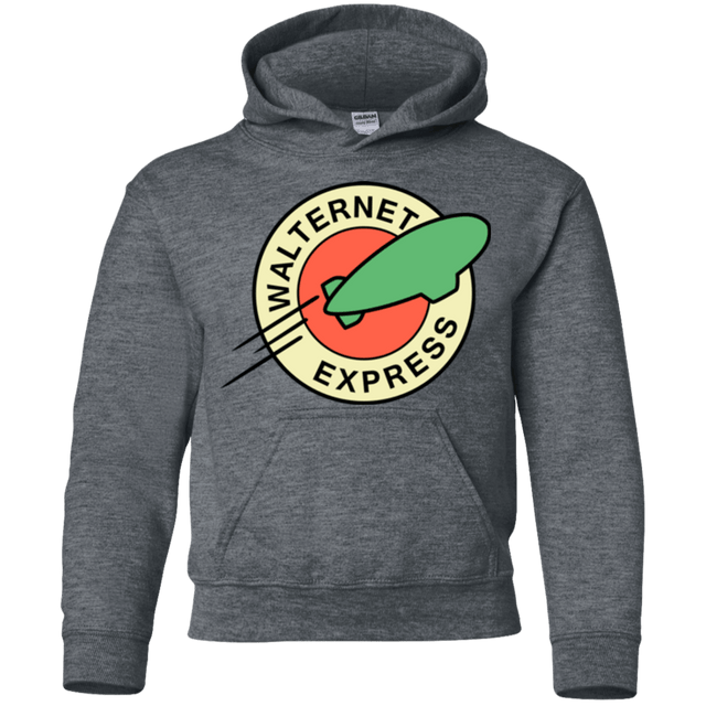 Sweatshirts Dark Heather / YS Walternet Express Youth Hoodie