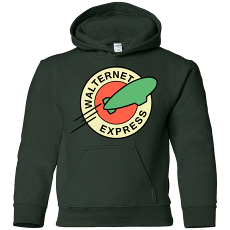Sweatshirts Forest Green / YS Walternet Express Youth Hoodie