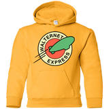 Sweatshirts Gold / YS Walternet Express Youth Hoodie