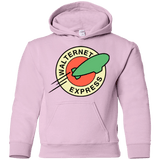 Sweatshirts Light Pink / YS Walternet Express Youth Hoodie