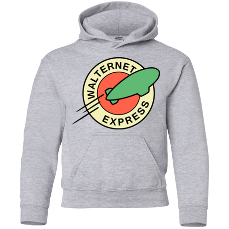 Sweatshirts Sport Grey / YS Walternet Express Youth Hoodie