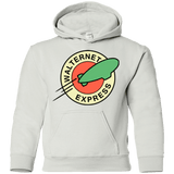Sweatshirts White / YS Walternet Express Youth Hoodie