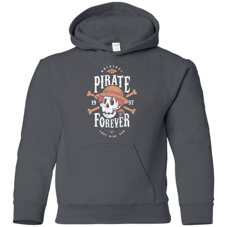 Sweatshirts Charcoal / YS Wanted Pirate Forever Youth Hoodie