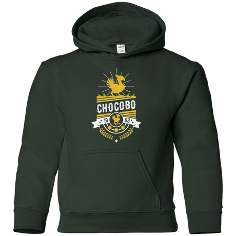 Sweatshirts Forest Green / YS Wark Youth Hoodie