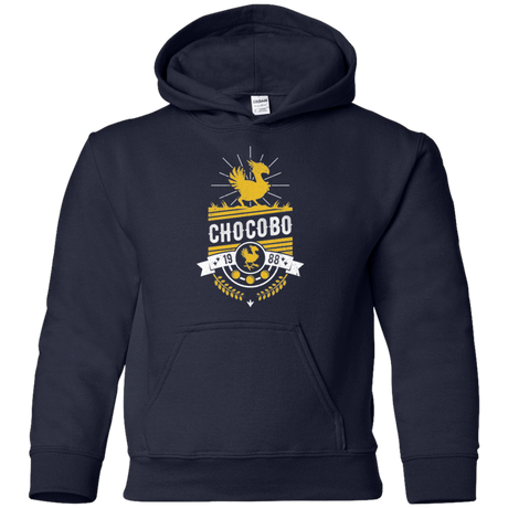 Sweatshirts Navy / YS Wark Youth Hoodie