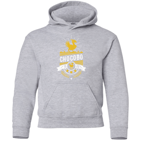 Sweatshirts Sport Grey / YS Wark Youth Hoodie