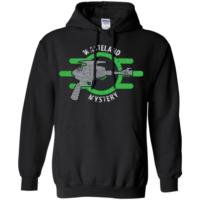 Sweatshirts Black / Small Wasteland Mystery Pullover Hoodie