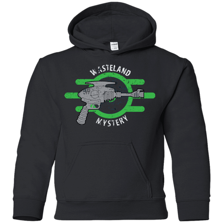 Sweatshirts Black / YS Wasteland Mystery Youth Hoodie