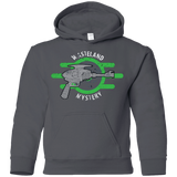 Sweatshirts Charcoal / YS Wasteland Mystery Youth Hoodie