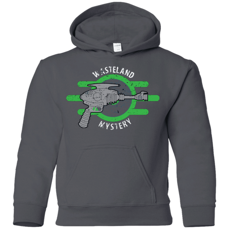 Sweatshirts Charcoal / YS Wasteland Mystery Youth Hoodie